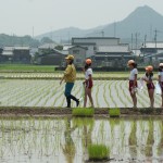 田植え交流