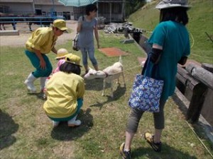 動物交流②