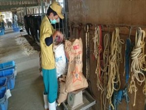 濃厚飼料の計量