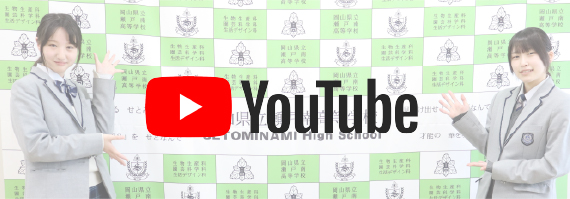 youtubeチャンネル