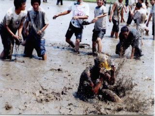 ���ł�����