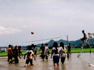 �_�ƍ��Z�Ȃ�ł�