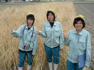 �E�l�̏��B