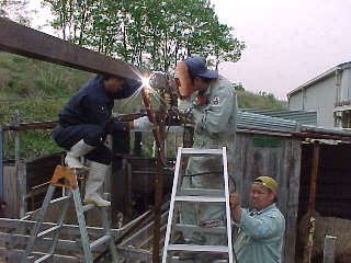 �M���Ƃ낯��|��