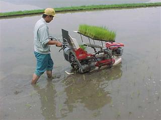 �c�A��