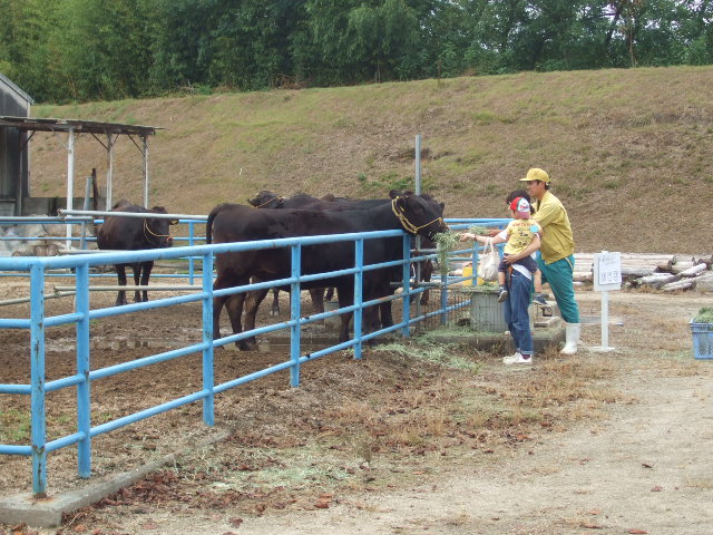 ���̕��i�Q