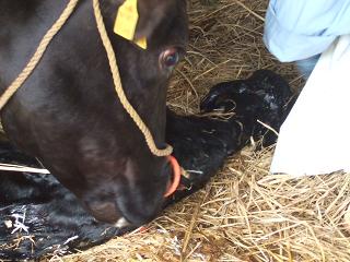 ���R