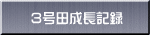 3号田成長記録