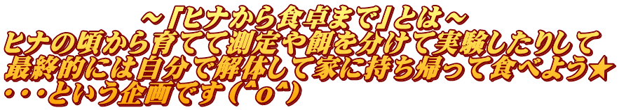 　　　　　～「ヒナから食卓まで」とは～ ヒナの頃から育てて測定や餌を分けて実験したりして 最終的には自分で解体して家に持ち帰って食べよう★ ・・・という企画です（＾o^）