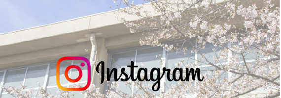 インスタグラム