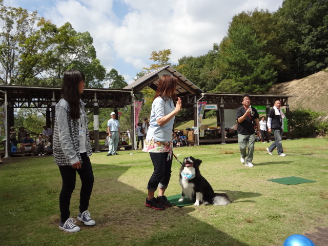 動物愛護1