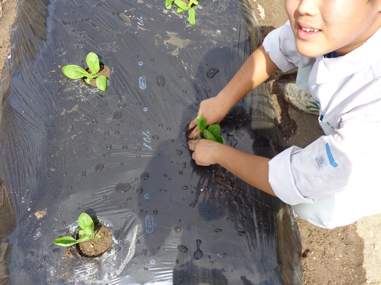DSC01410 岡山県立瀬戸南高等学校