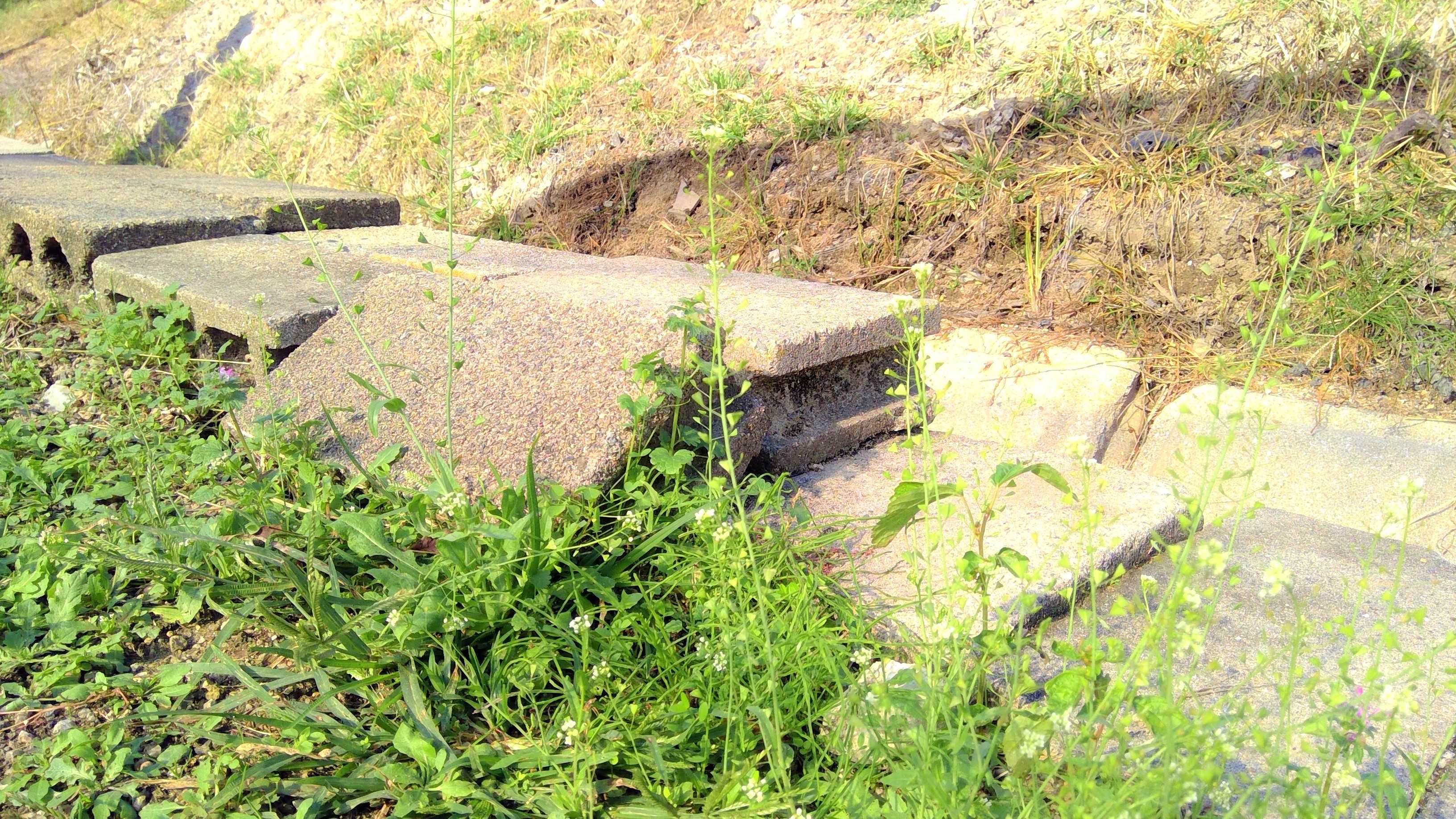 瀬南沼「ナチュラル」vol.78 岡山県立瀬戸南高等学校